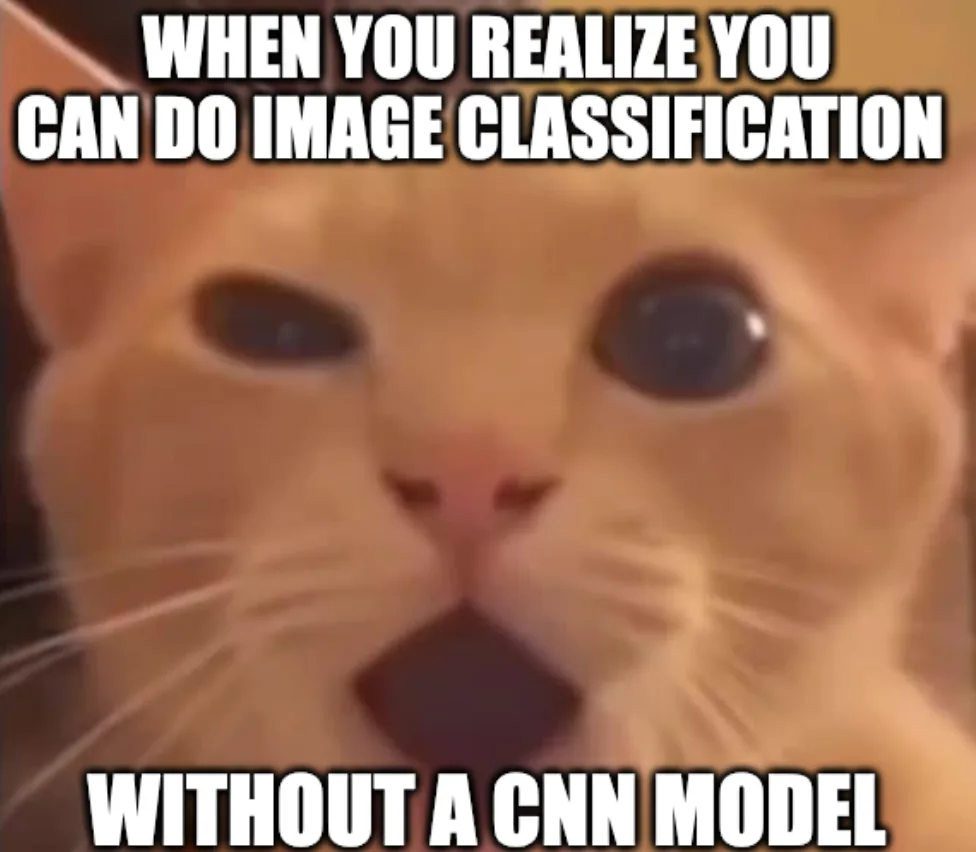 cat-woah